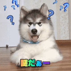 Confused