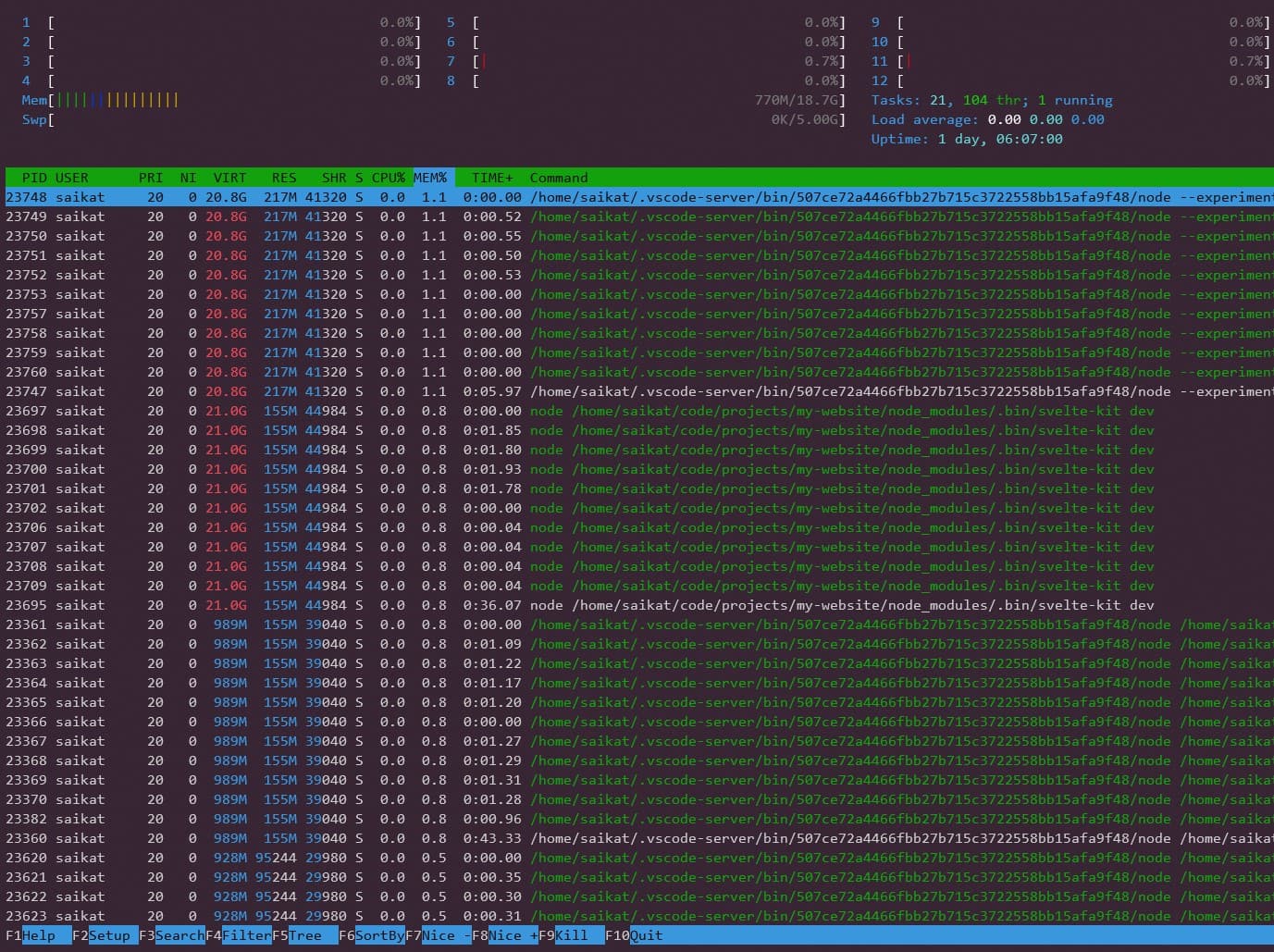 htop command output snapshot