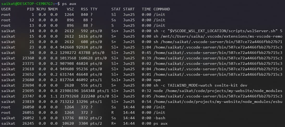 ps command output snapshot