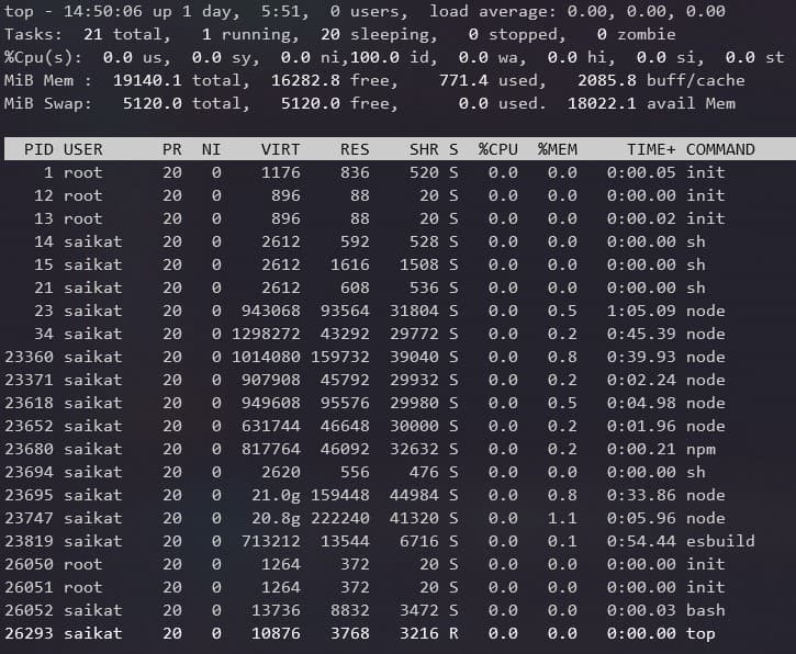 top command output snapshot